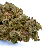 Fire OG THCa Hemp Flower - Plants